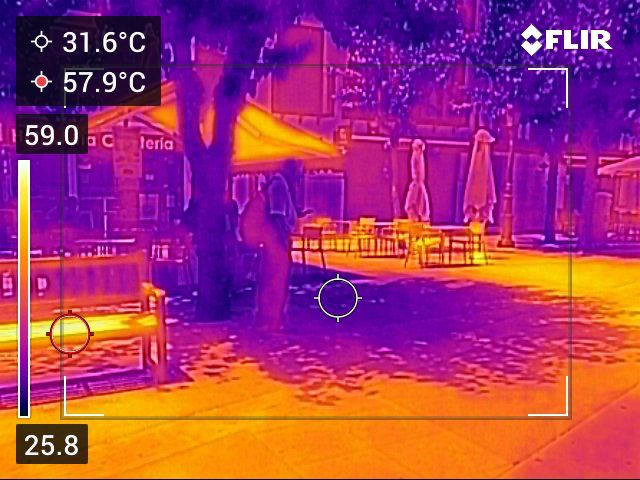 Comparativa de sombra bajo el árbol en murcia